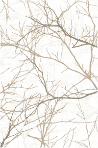 MERINOS Teppich Creation 50055